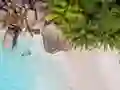 Gêm Seychelles Beach Jigsaw Puzzle ar-lein