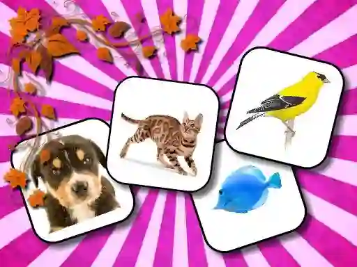 Gêm Animals Memory ar-lein