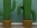 Gêm Cactus Cube ar-lein