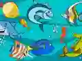 Gêm Fish Differences ar-lein