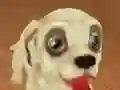 Gêm Pet Run Adventure ar-lein