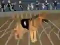 Gêm Crazy Dog Racing Fever ar-lein