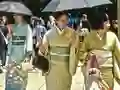 Gêm 100 Butterflies in Japan ar-lein
