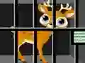 Gêm Animals Rescue ar-lein