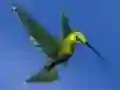 Gêm Hummingbird House Escape ar-lein