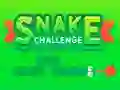 Gêm Snake Challenge ar-lein