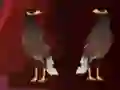Gêm Peikin Duck Escape ar-lein