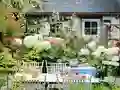 Gêm Flower Garden ar-lein