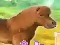 Gêm My Dear Pony ar-lein