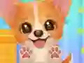 Gêm Adopt Your Pet Puppy ar-lein