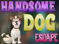 Gêm Handsome Dog Escape ar-lein