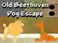 Gêm Old Beethoven Dog Escape ar-lein