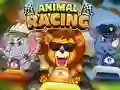 Gêm Animal Racing ar-lein