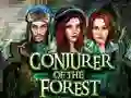 Gêm Conjurer Of The Forest ar-lein