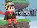 Gêm Skyshot ar-lein