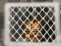 Gêm Tiger Escape 1 ar-lein