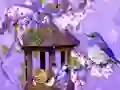 Gêm Wonderful Humming Bird Land Escape ar-lein