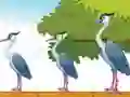 Gêm Violet Bird Escape ar-lein