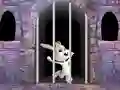 Gêm Victory Rabbit Escape ar-lein