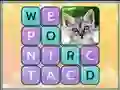 Gêm Word Search Pictures ar-lein