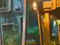 Gêm Playful Tortoise Escape ar-lein