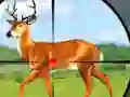 Gêm Wild Hunt Hunting Games 3D ar-lein
