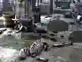 Gêm Friends Rescue From Skeleton ar-lein
