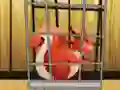 Gêm Rescue The Red Squirrel From Cage ar-lein