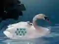 Gêm Save The Swan Mother Child ar-lein