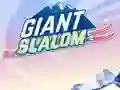 Gêm Giant Slalom ar-lein