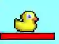 Gêm Ducky Adventures ar-lein