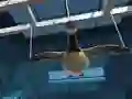Gêm Goose Museum ar-lein