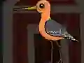 Gêm Cute Godwit Escape ar-lein