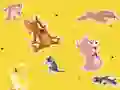 Gêm The Tom and Jerry Show Find it! ar-lein
