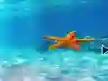 Gêm Escape From Underwater Starfish ar-lein
