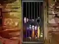 Gêm Hidden Cat Escape ar-lein