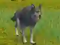 Gêm The Wolf: Wild Animal Simulator ar-lein