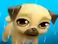 Gêm My Virtual Pet Louie the Pug ar-lein