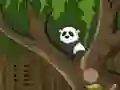 Gêm Panda Jungle Escape ar-lein