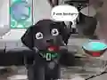 Gêm Feed Hungry Black Dog ar-lein