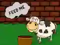 Gêm Find The Cow Feed ar-lein