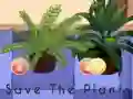 Gêm Save the Plants ar-lein