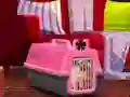Gêm Escape The Small Pug ar-lein