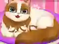 Gêm Cute Kitty Pregnant ar-lein