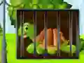 Gêm Turtle Fiery Escape ar-lein