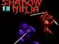 Gêm Shadow of the Ninja ar-lein