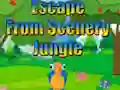 Gêm Escape from Scenery Jungle ar-lein
