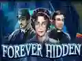 Gêm Forever Hidden ar-lein
