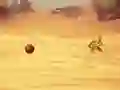 Gêm Monkey Shooting ar-lein