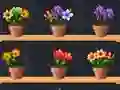 Gêm Good Flower Master ar-lein